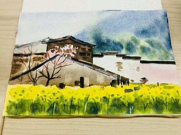 5,水彩(水粉)画 零基础,进阶课程